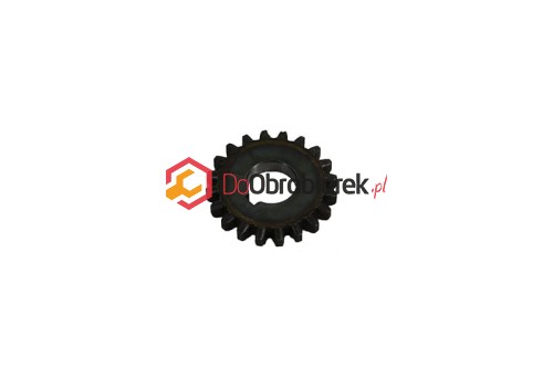 RUN6246-101028.jpg