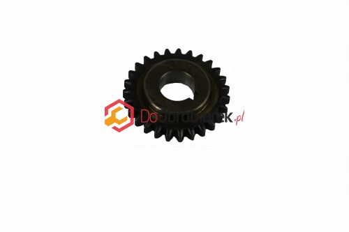 RUN6246-102036.jpg